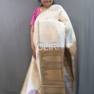 Off-White Body with Rich Contrast Pallu Silk Cotton Saree with Gold Zari Motifs